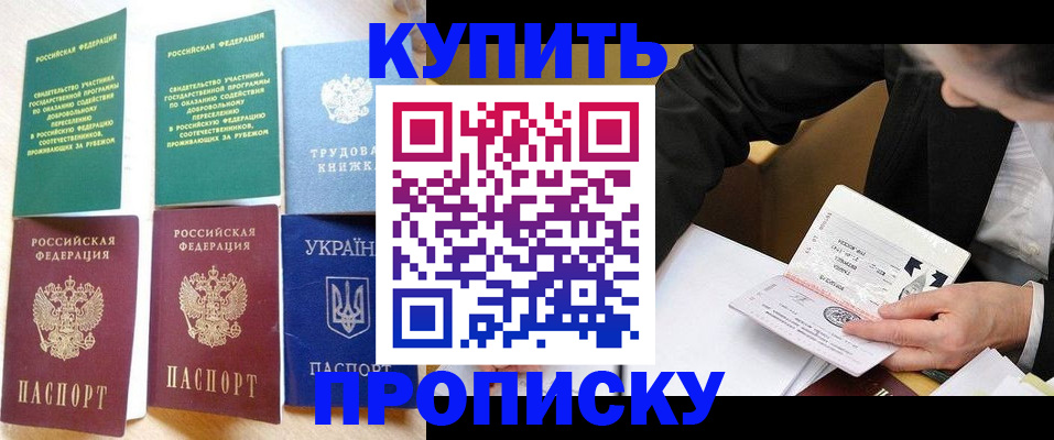 прописка для школы в Высоковске